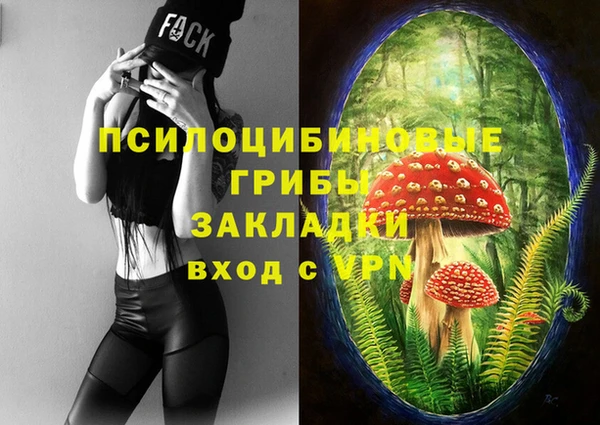 круглые Арсеньев