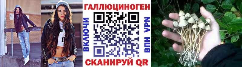 Купить закладки  Бузулук  Псилоцибиновые грибы GOLDEN TEACHER 